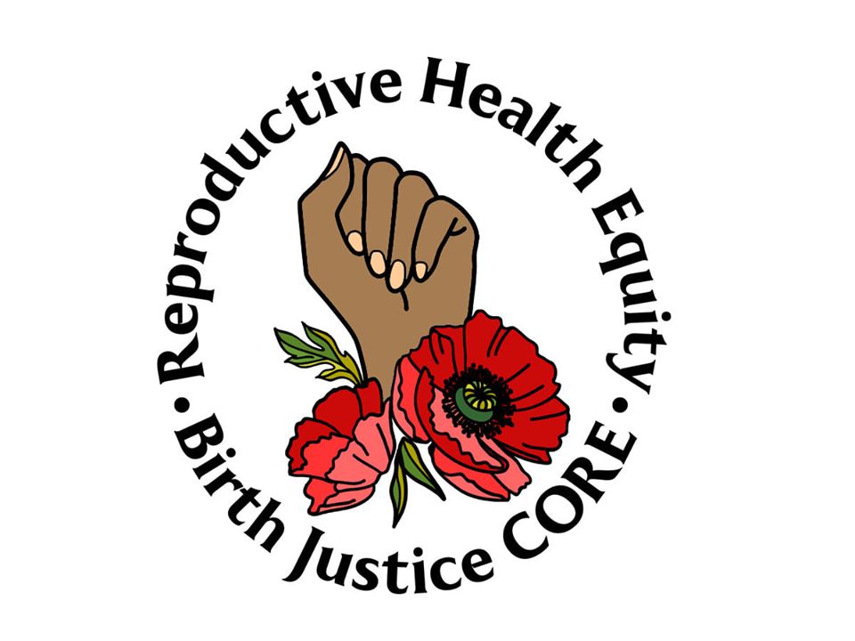 Reproductive Health Equity & Birth Justice Core - PRIORITY Study homepage